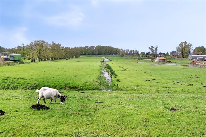 Bekijk foto 4 van Osdorperweg 603