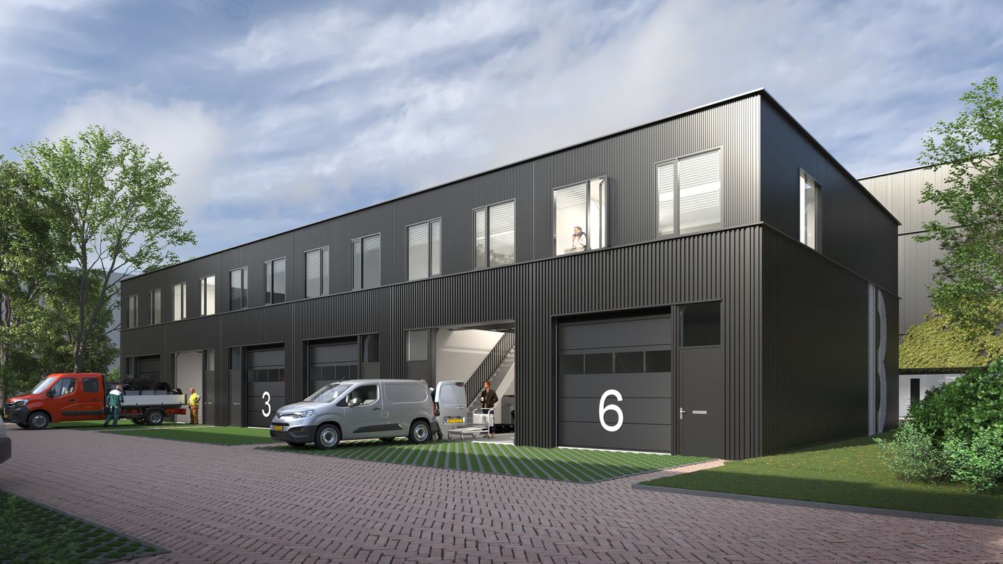 Bekijk foto 5 van Steur