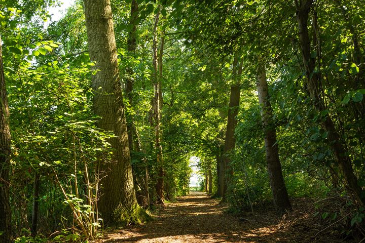 Bekijk foto 36 van Rukven 7