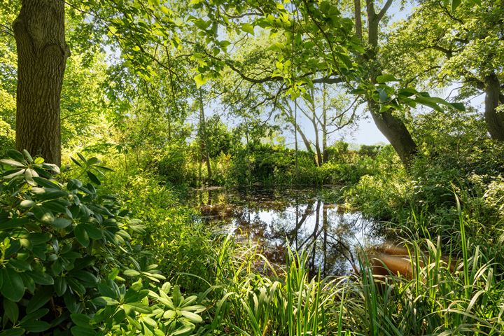 Bekijk foto 38 van Rukven 7