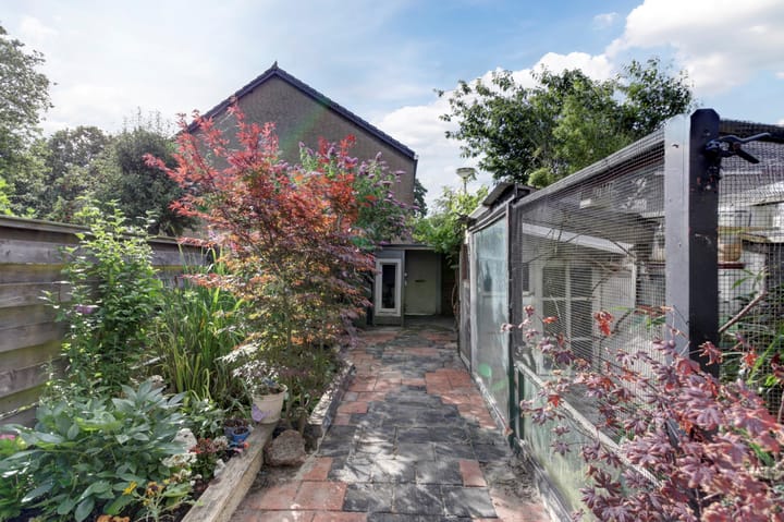 Foto 32 van Rietgansstraat 7