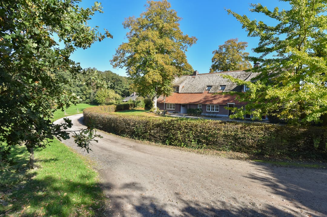 Foto 52 van Bellinkhofsdwarsweg 3