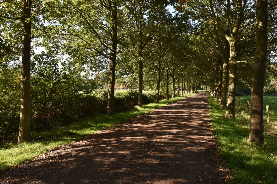 Foto 53 van Bellinkhofsdwarsweg 3