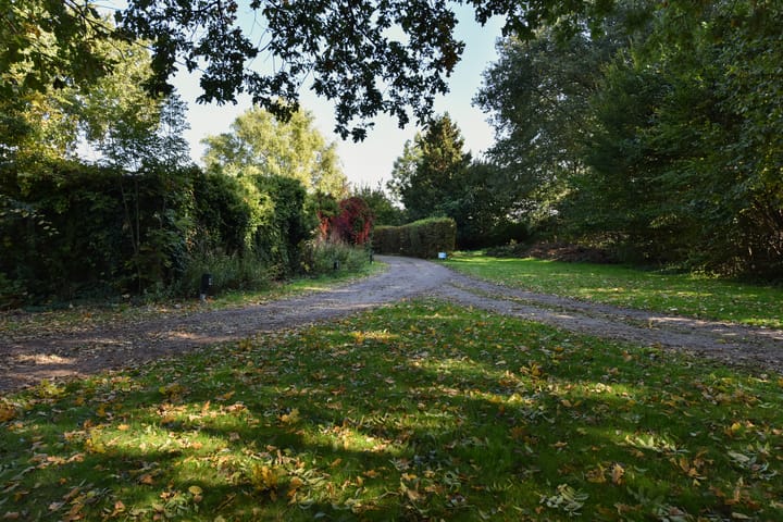 Photo 54 of Bellinkhofsdwarsweg 3