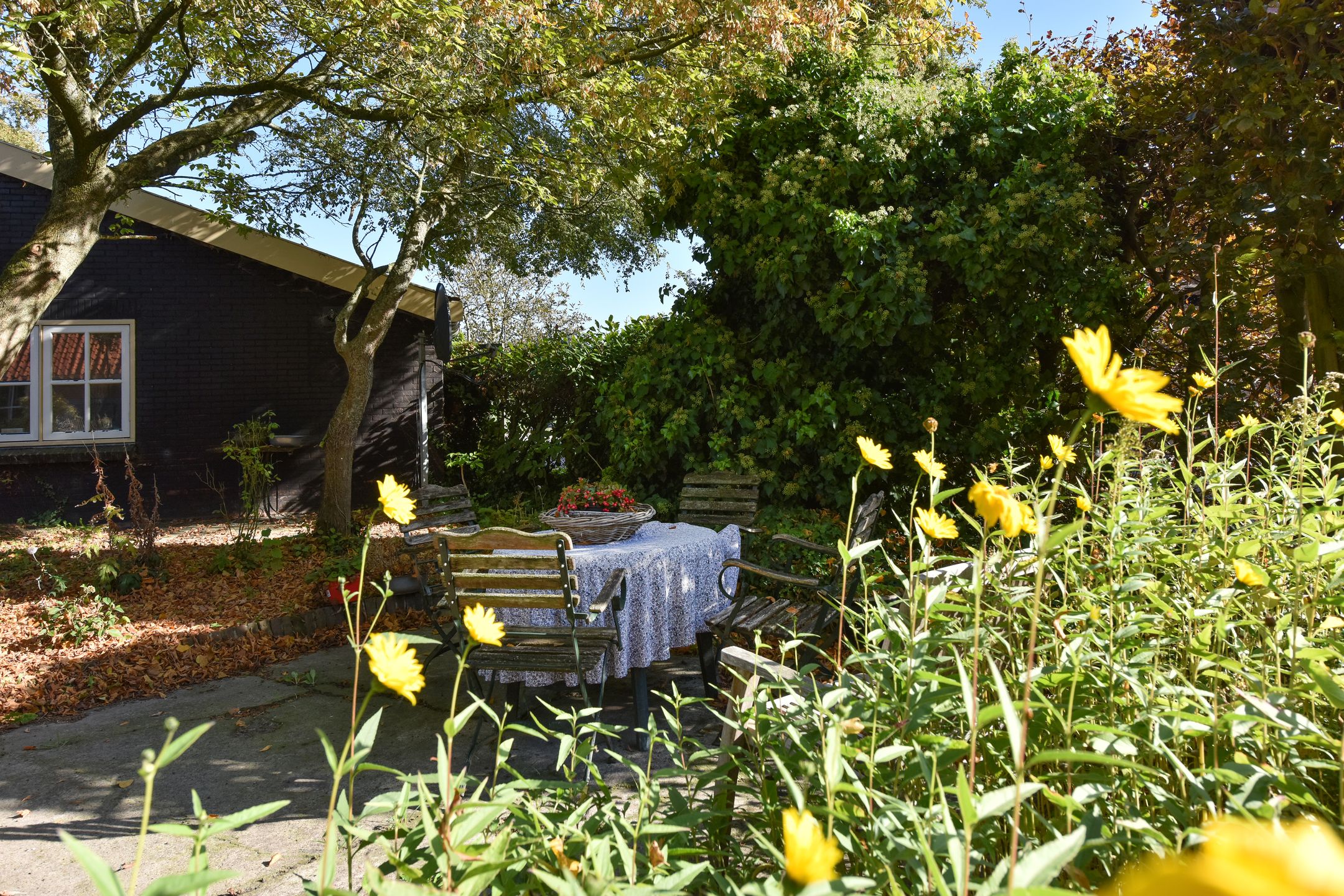 Foto 69 van Bellinkhofsdwarsweg 3