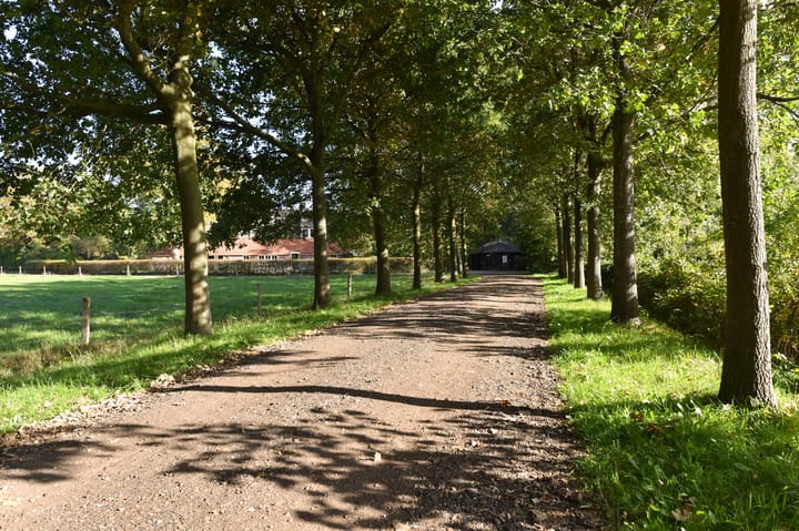 Photo 98 of Bellinkhofsdwarsweg 3