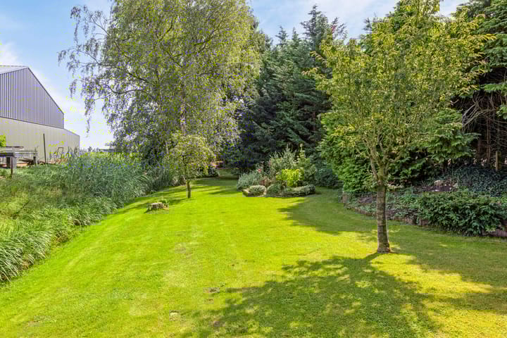 Foto 44 van Driehoefijzersstraat 43