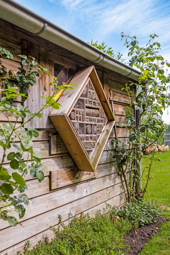 Foto 50 van Driehoefijzersstraat 43