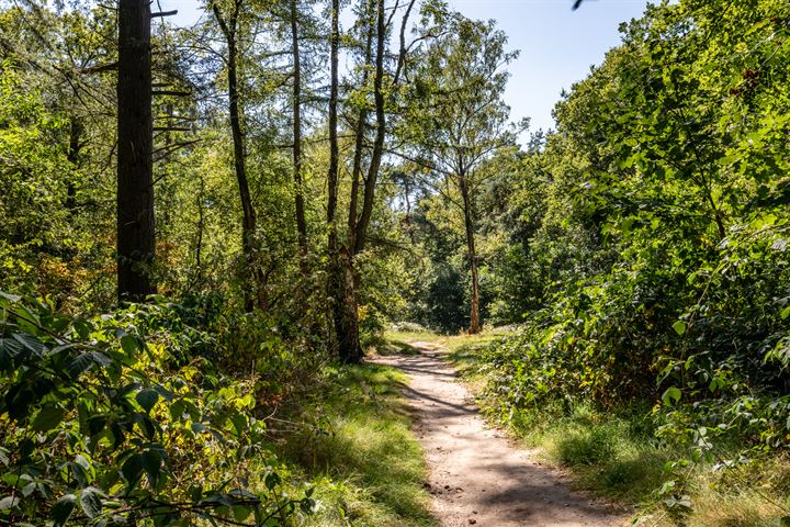 Bekijk foto 37 van Vuursche Dreef 24