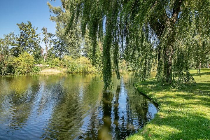 Foto 26 van Beukelsdijk 66-C