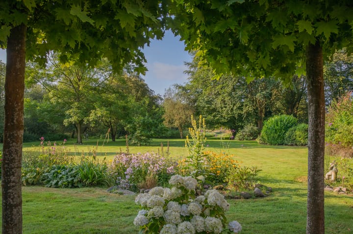 Foto 4 van Zuiderstraat 7