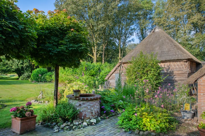 Foto 61 van Zuiderstraat 7