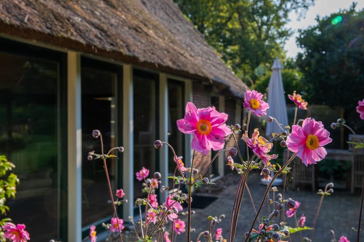 Foto 62 van Zuiderstraat 7