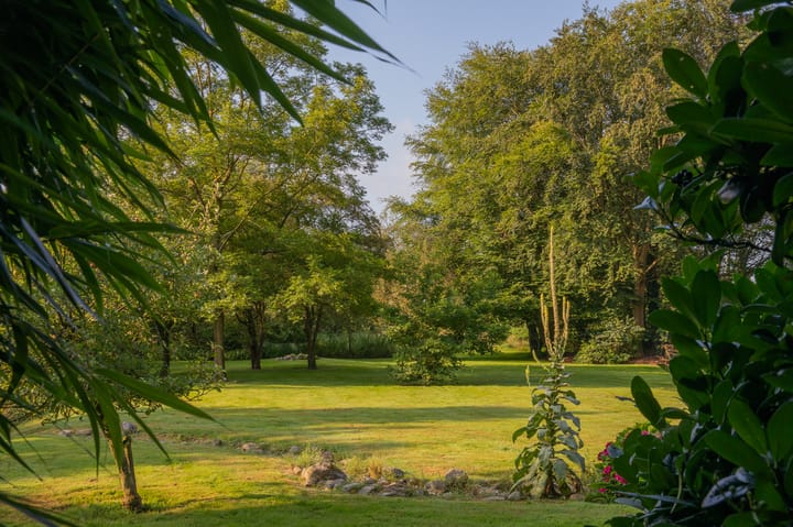 Foto 67 van Zuiderstraat 7