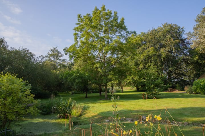 Foto 70 van Zuiderstraat 7