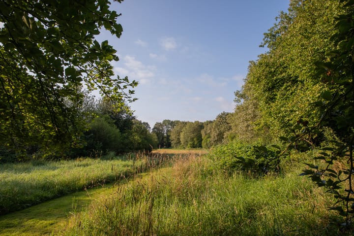 Foto 73 van Zuiderstraat 7