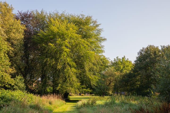 Foto 74 van Zuiderstraat 7