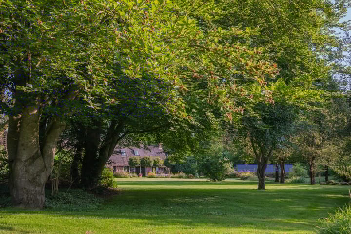 Foto 76 van Zuiderstraat 7