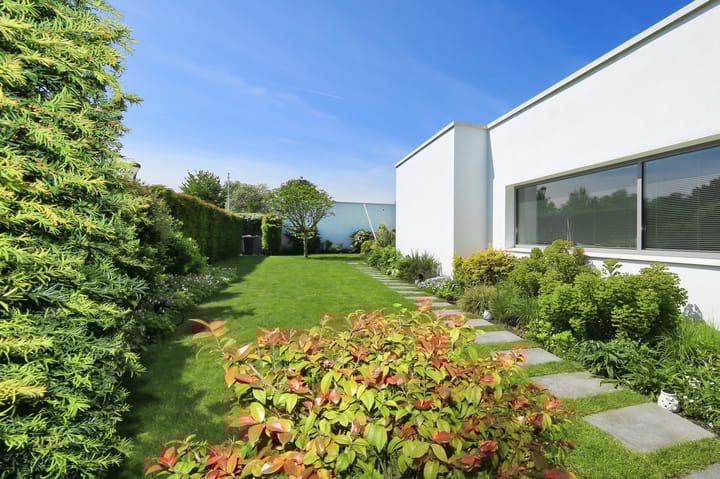 Foto 39 van Curiestraat 3