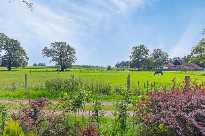 Foto 43 van Diekink 13