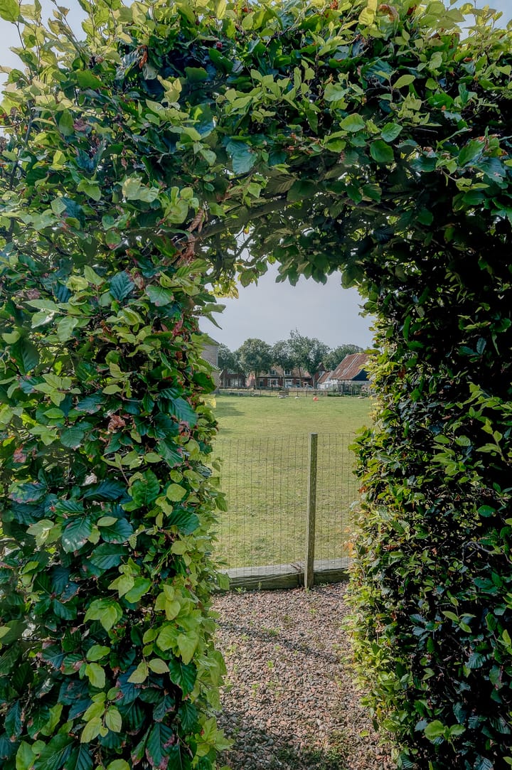 Foto 53 van Oostakkers 9