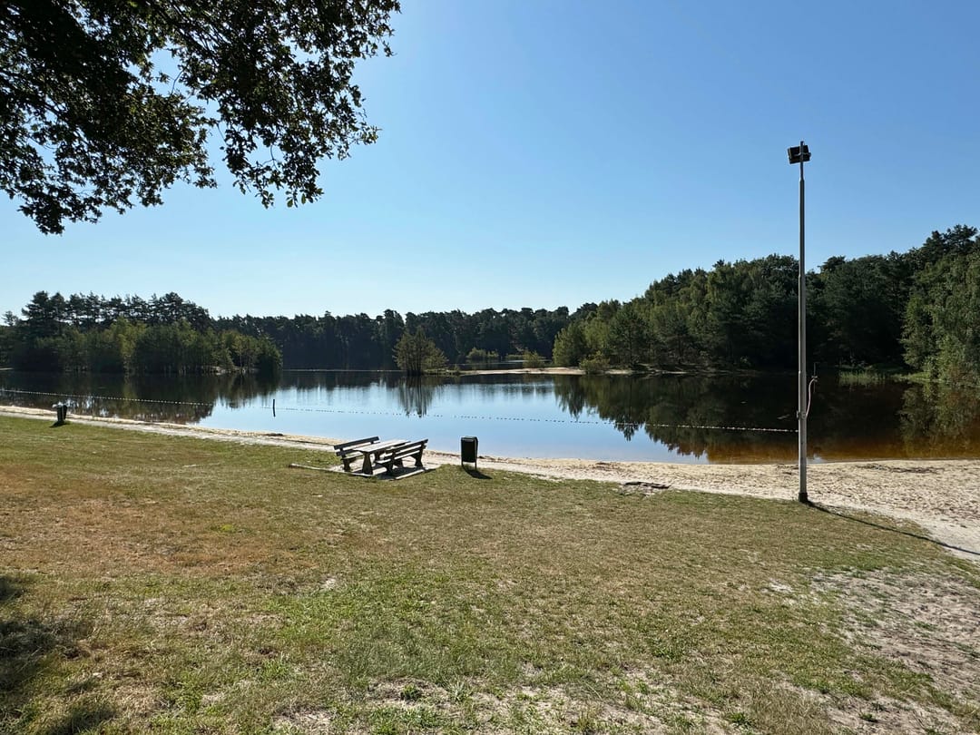 Foto 31 van Plashofstraat 50