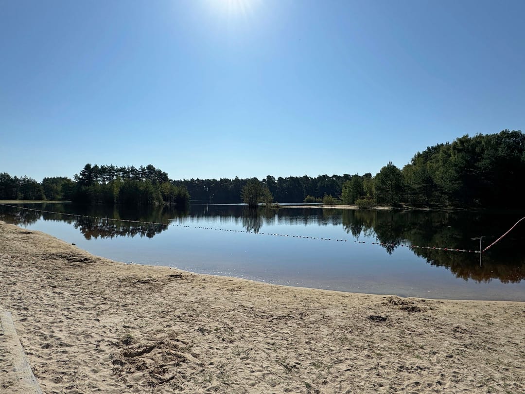 Foto 32 van Plashofstraat 50