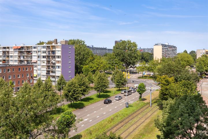 View photo 15 of Hargplein 167