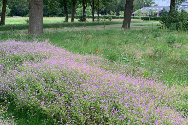 Bekijk foto 32 van Veenhuizerhof 13