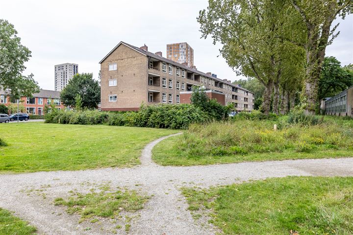 Bekijk foto 32 van Dierenriemstraat 203