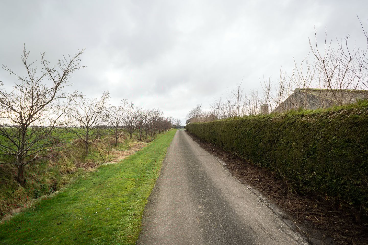 Foto 5 van Nesweg 14