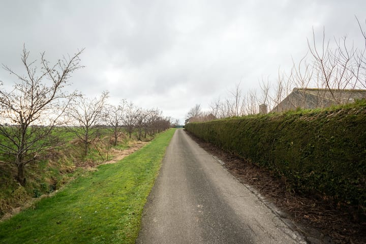 Foto 5 van Nesweg 14