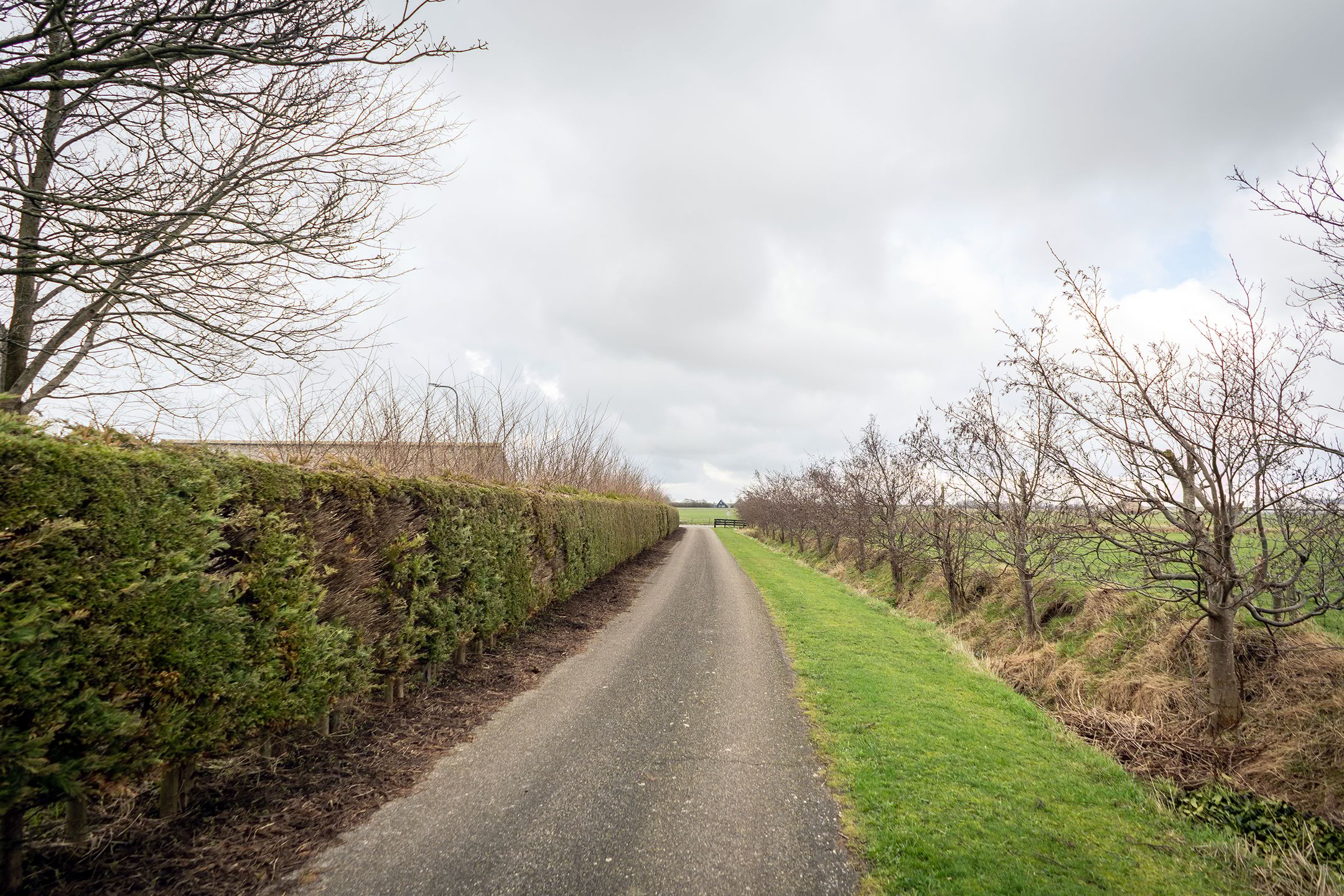 Foto 6 van Nesweg 14