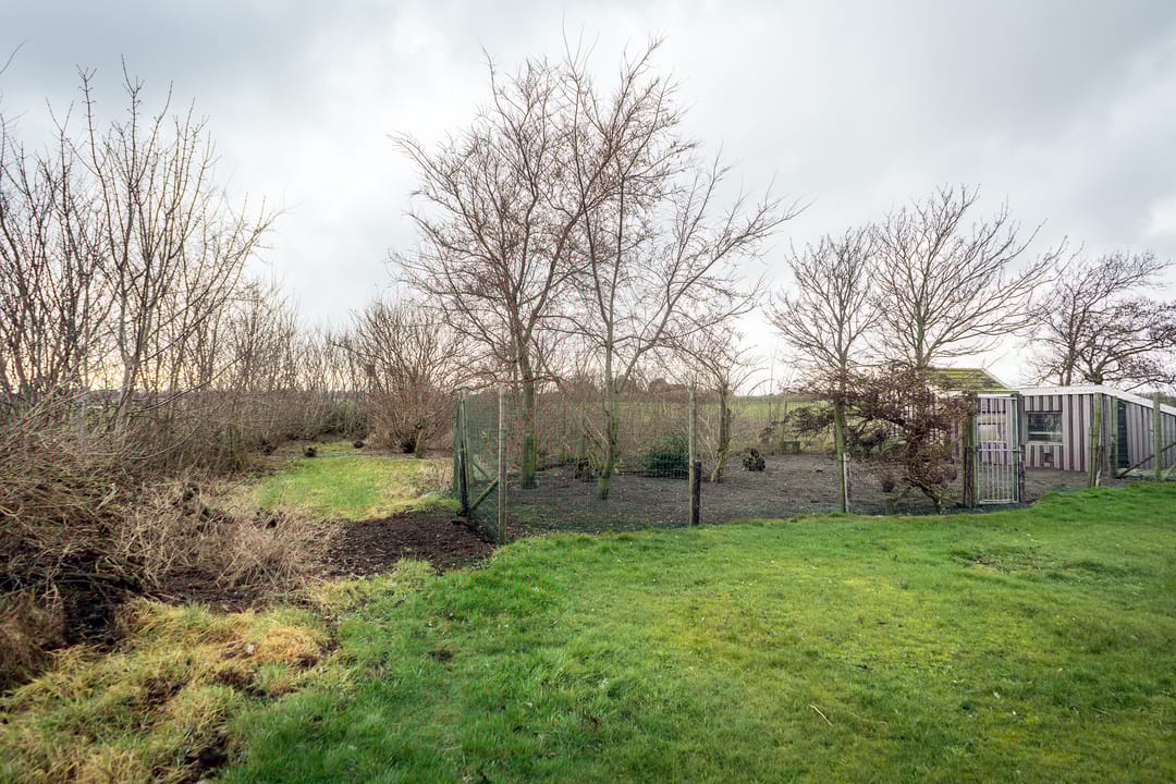 Foto 46 van Nesweg 14