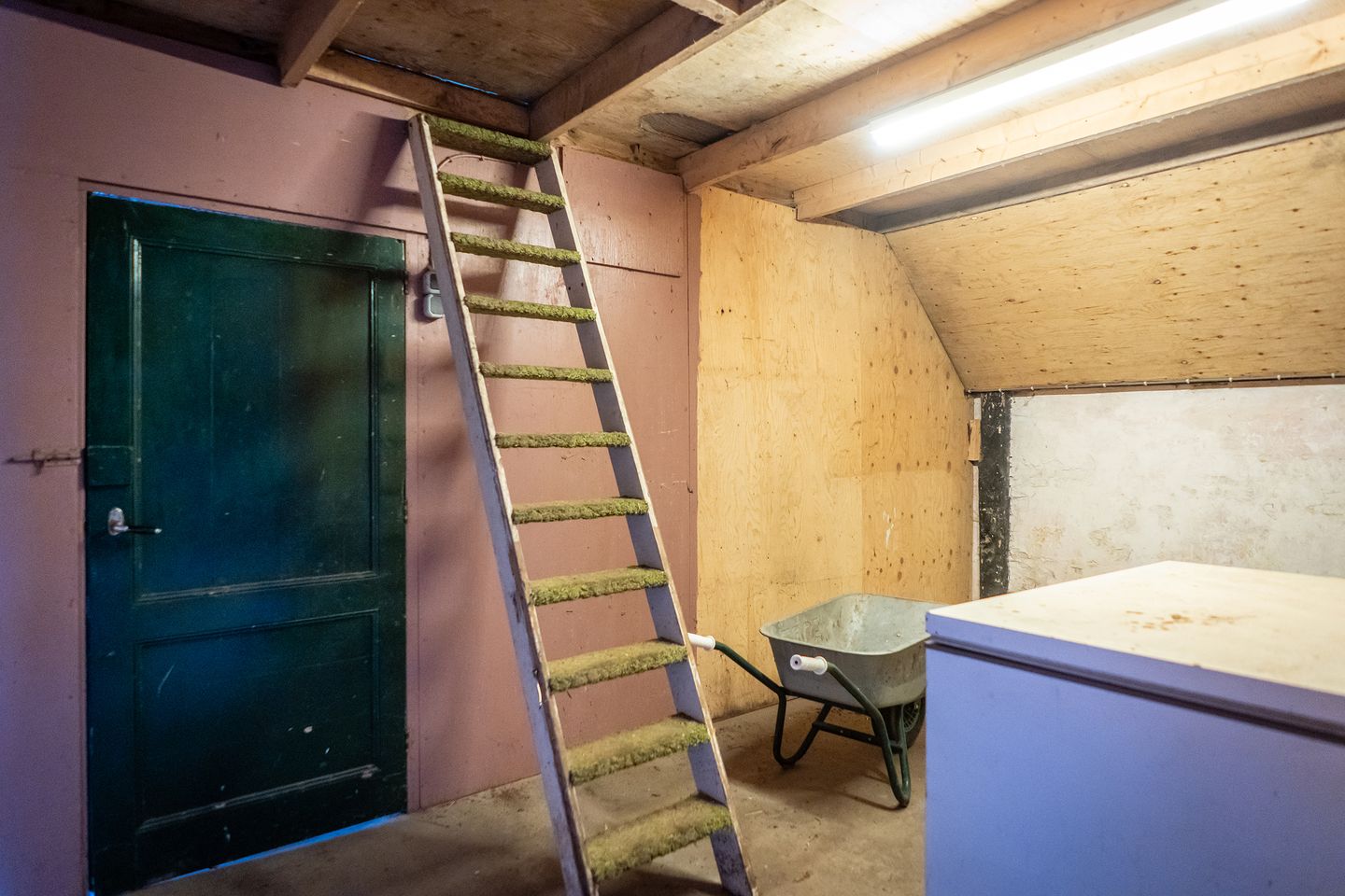 Foto 50 van Nesweg 14