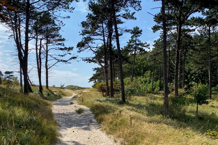 Bekijk foto 53 van Hoge Hilleweg 8