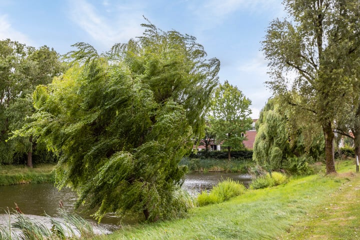 Bekijk foto 29 van Zangvogelweg 70