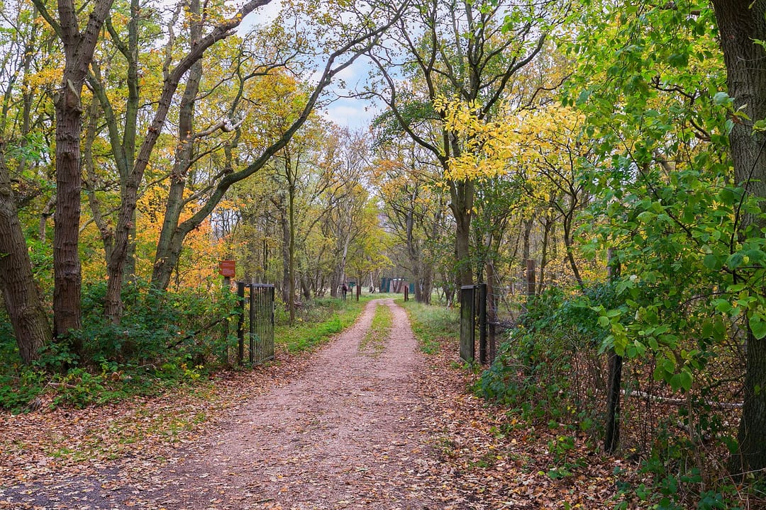 Foto 41 van Hoge Weide 49