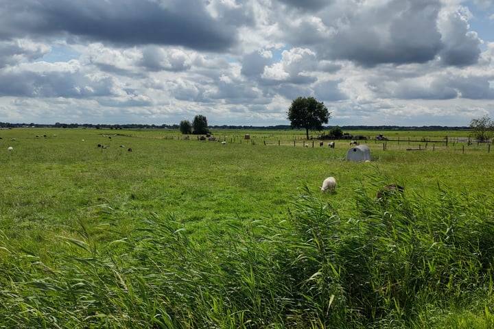 Bekijk foto 40 van Zwarteweg 117