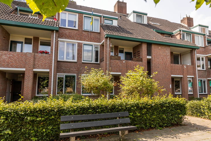 undefined main image