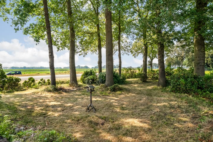 Foto 6 van Jachthuisweg 19-A