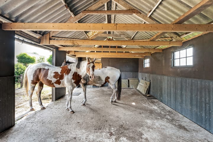 Foto 47 van Jachthuisweg 19-A