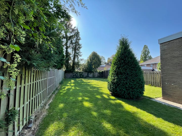 Foto 3 van van Wassenaerstraat 2