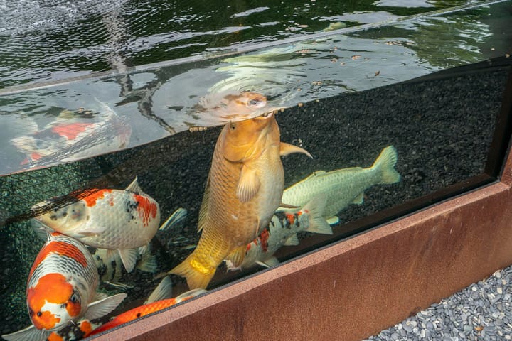 Photo 79 of Mgr Aertsstraat 42