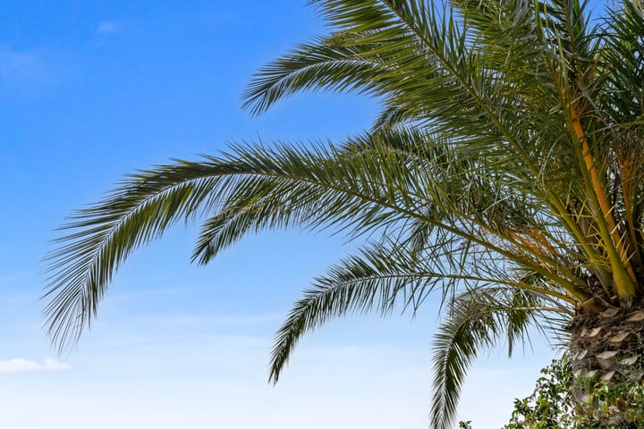 Foto 86 van 4 Rue Paul Arene