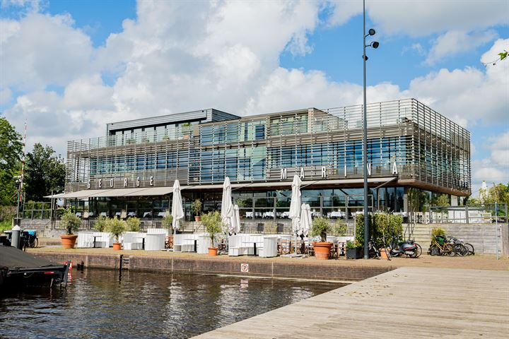 Bekijk foto 43 van Amstelvlietstraat 163