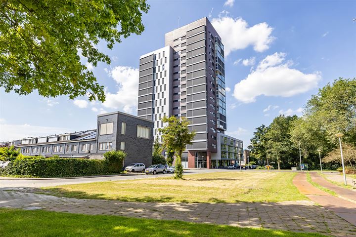 Bekijk foto 1 van Grote Beerstraat 173-29