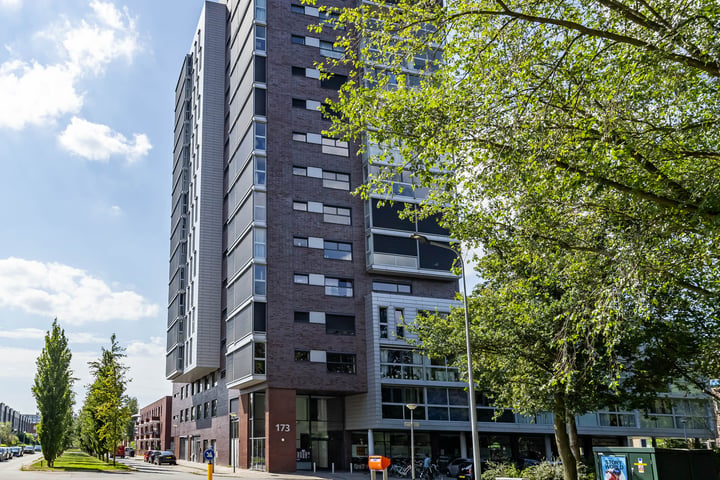 Bekijk foto 5 van Grote Beerstraat 173-29