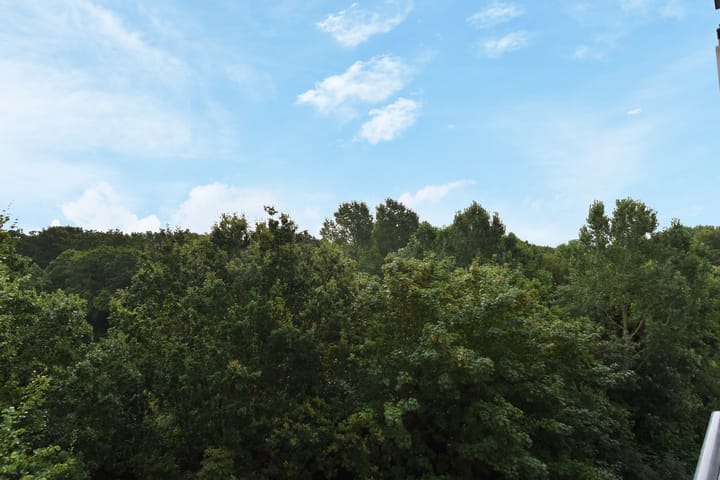 Foto 17 van Huis te Landelaan 15-F712