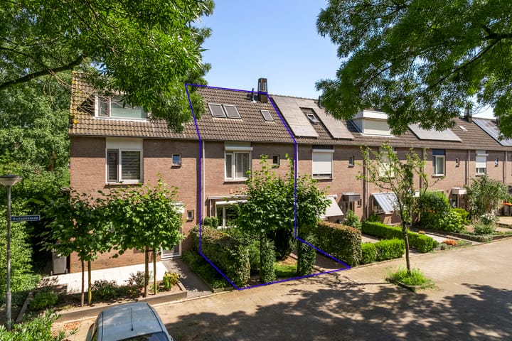 undefined main image
